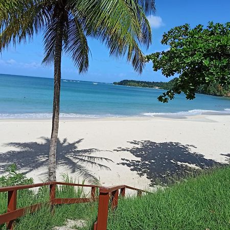 F3 Au Calme Vue Sur Mer 2 Chambres Balcon Terrasse ラ・トリニテ エクステリア 写真
