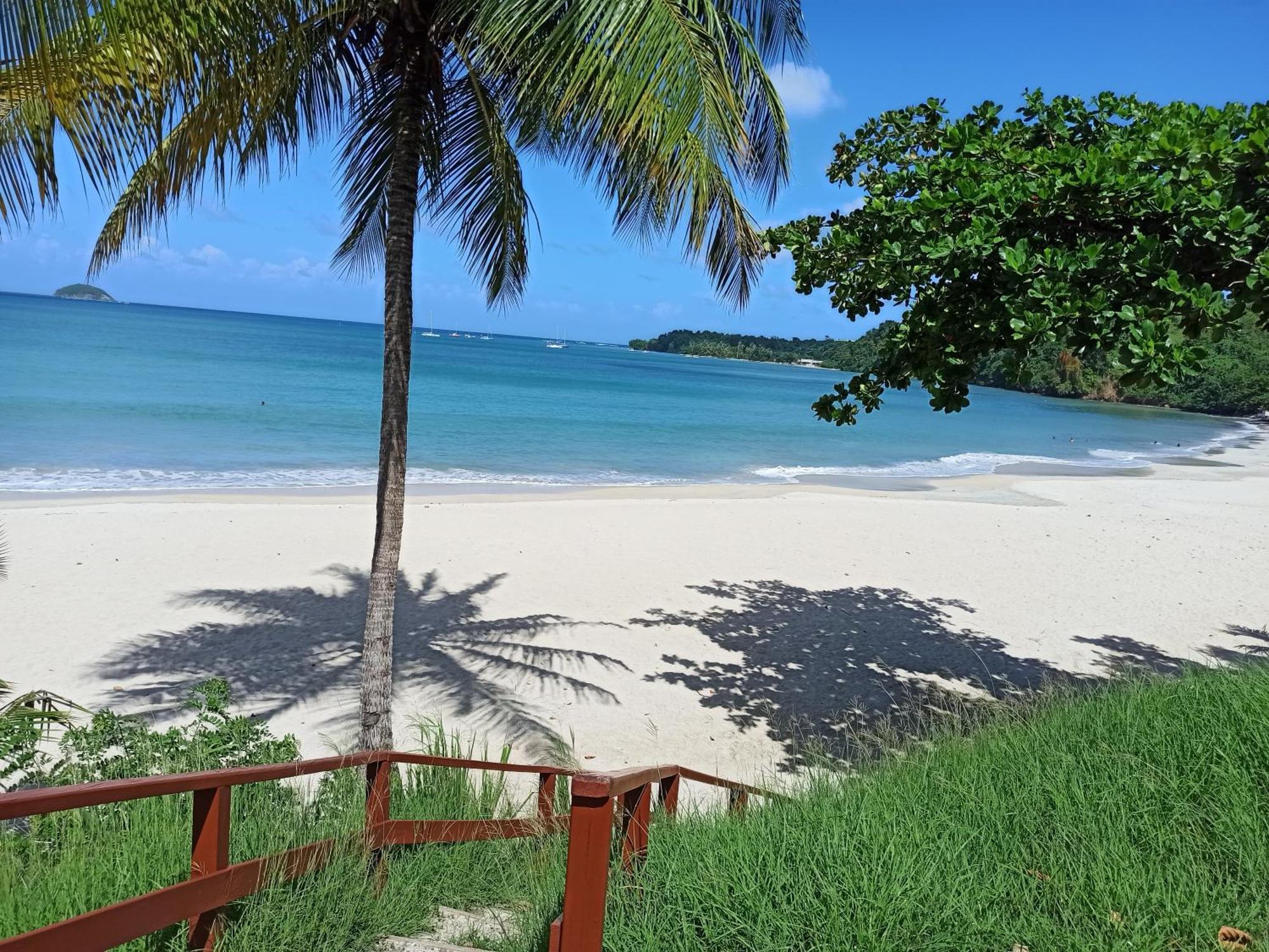 F3 Au Calme Vue Sur Mer 2 Chambres Balcon Terrasse ラ・トリニテ エクステリア 写真