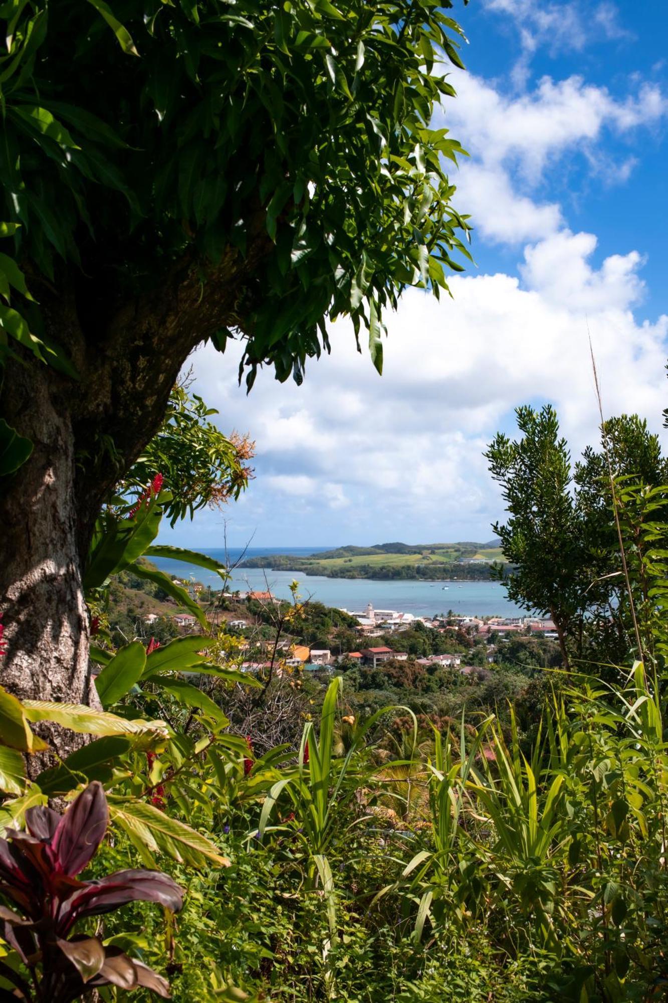 F3 Au Calme Vue Sur Mer 2 Chambres Balcon Terrasse ラ・トリニテ エクステリア 写真